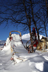 6-tour-eingeschneiter-schlitten-IMG_3126.jpgWinterabenteuer