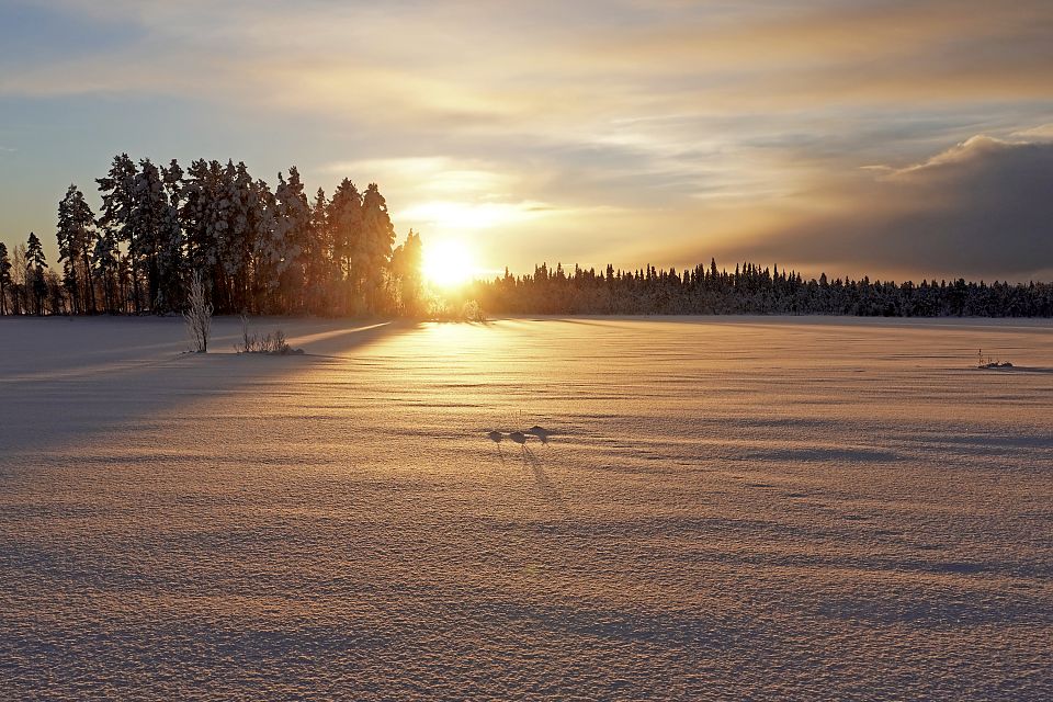 Das sanfte Licht der Sonne legt sich über die unberührte Schneefläche des Sees