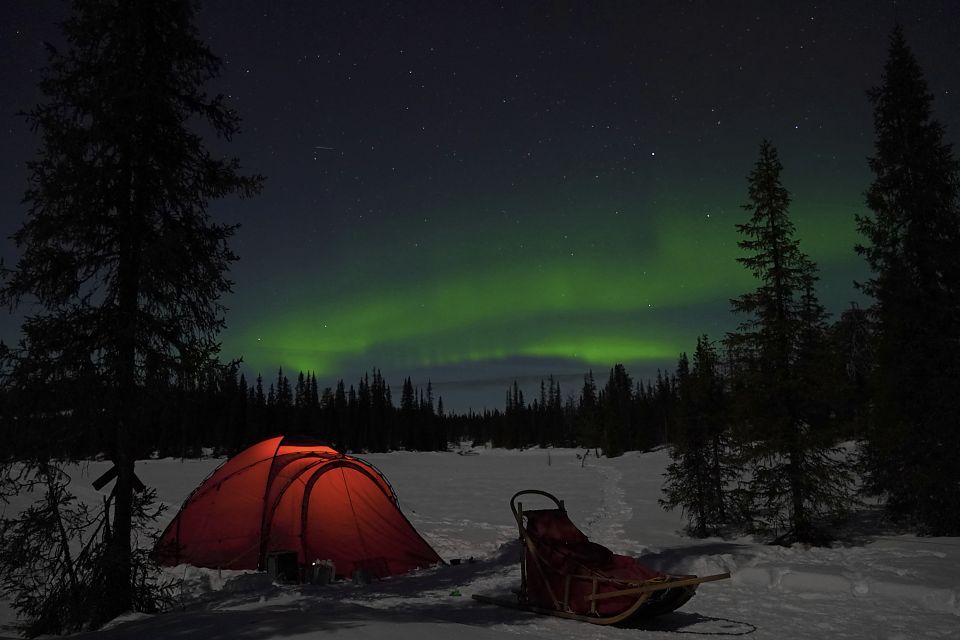 Ein Polarlicht verzaubert den sternenklaren Himmel bei unserer Zeltübernachtung