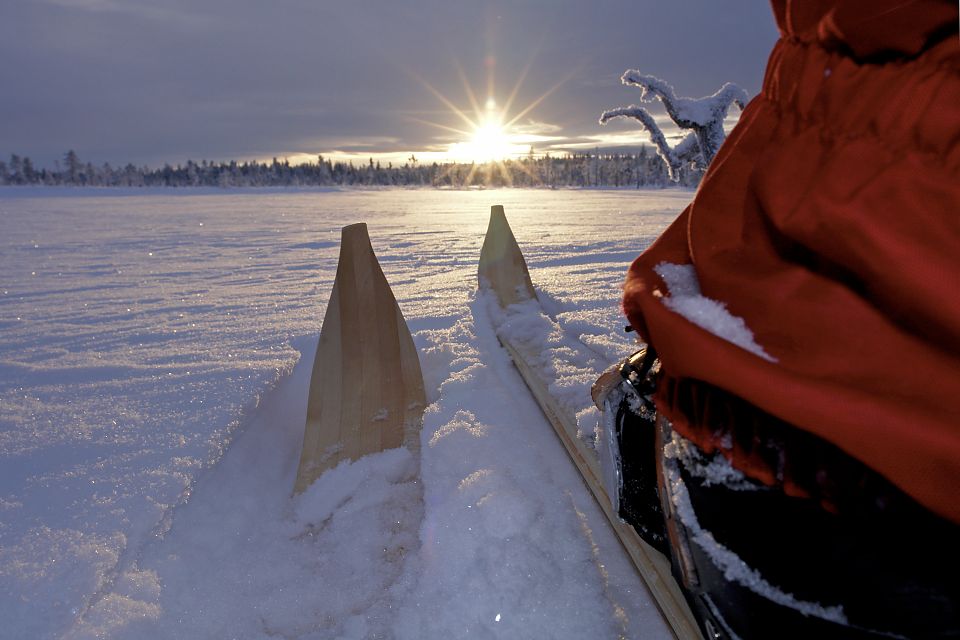 Mit Vildmarkski durch die unberührte Schneelandschaft