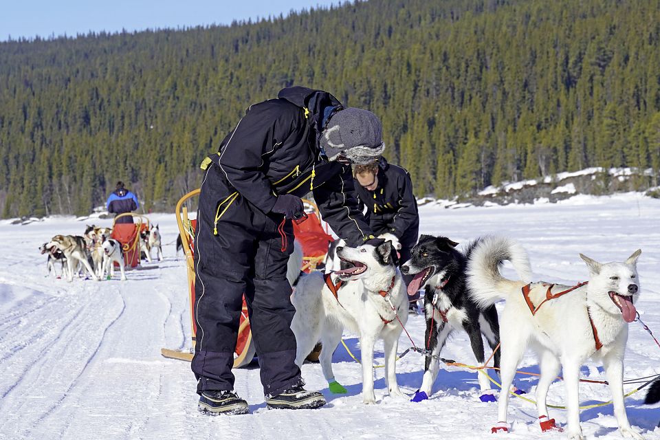 Ein kurzer Stopp, damit sich unsere vierbeinigen Helden erfrischen können.
