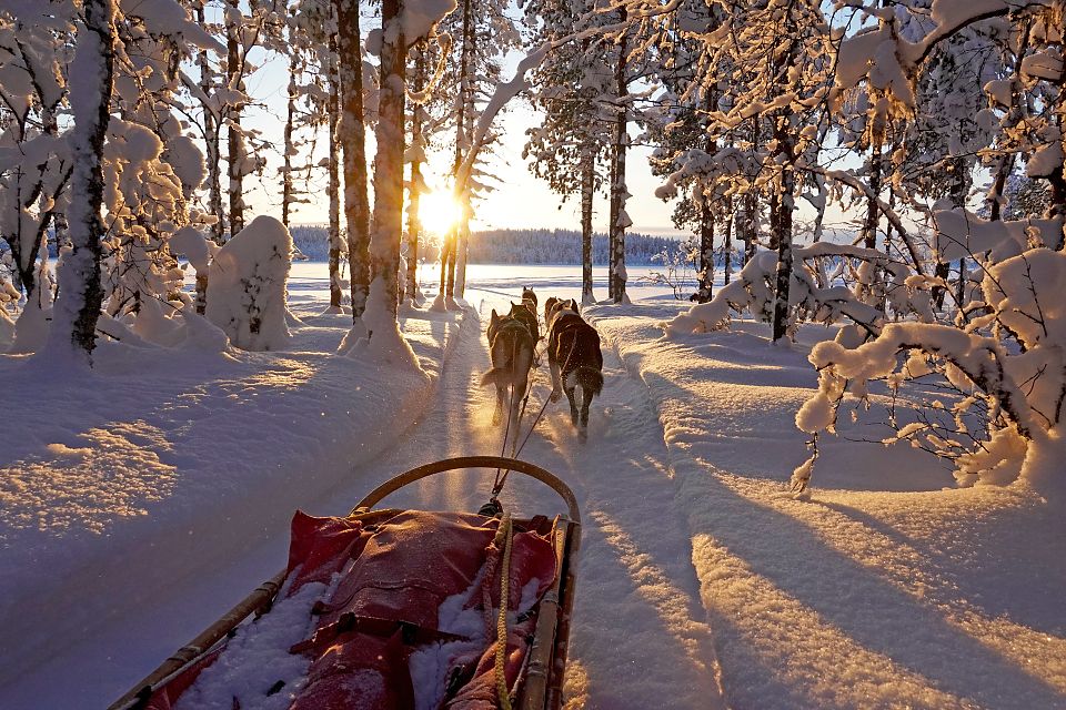 Mit dem Hundeschlitten gleiten wir durch tiefverschneite Wälder