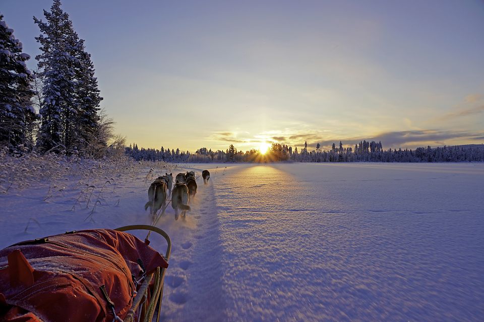 Mit dem Hundeschlitten gleiten wir über einen grossen See der untergehenden Sonne entgegen