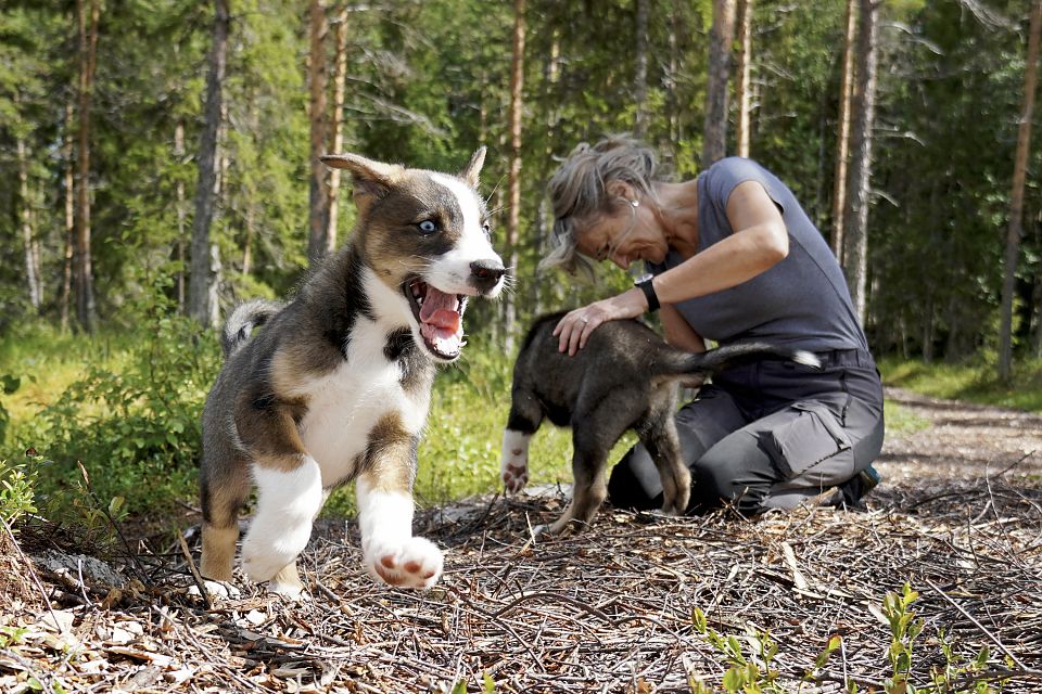 Die ersten Monate gibt es für die Welpen unglaublich viel zu entdecken!