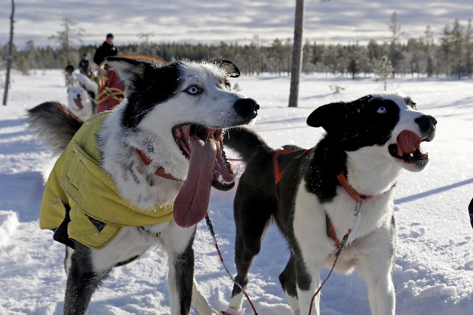 Crockett und Saiva - beide sind überglücklich auf Tour zu sein!