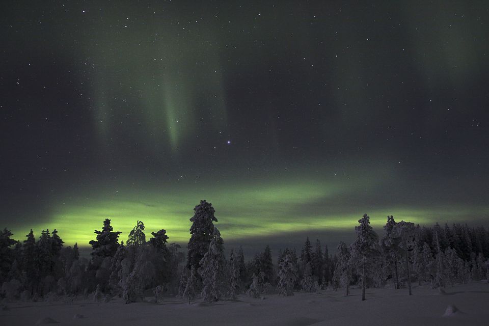 Tanzende Polarlichter am Nachthimmel