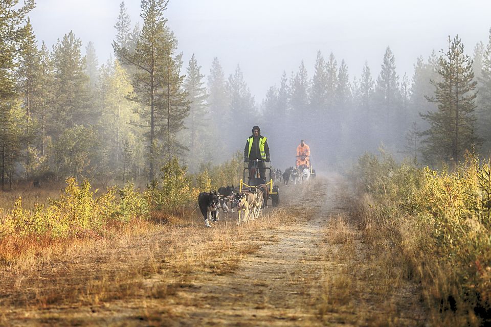 Beim Herbsttraining an einem nebeligen Morgen
