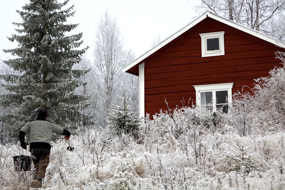 Die Wildnishütte ist einsam an einem See gelegen