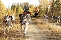 Herbsttraining auf den Forstwegen