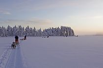 Mit dem Hundeschlitten gleiten wir über unzählige meterdick gefrorene Seen