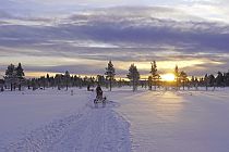 Auf dem Rückweg von der Zeltkota