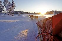 Das Licht der tiefstehenden Sonne taucht die Landschaft in sanfte Farben