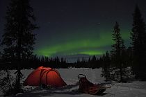 Ein Polarlicht verzaubert den sternenklaren Himmel bei unserer Zeltübernachtung