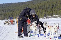 Ein kurzer Stopp, damit sich unsere vierbeinigen Helden erfrischen können.