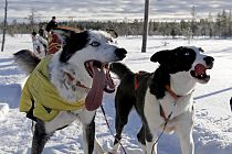Crockett und Saiva - beide sind überglücklich auf Tour zu sein!