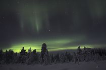 Tanzende Polarlichter am Nachthimmel