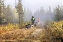 Beim Herbsttraining an einem nebeligen Morgen